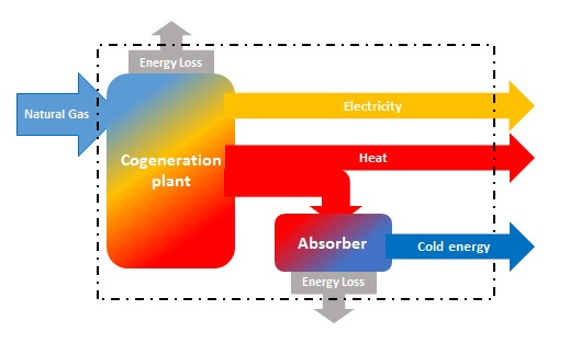 Cogeneration Flow